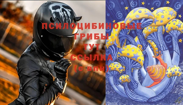 гидропоника Алексеевка